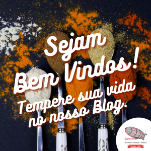 Bem vindos ao Blog do Zeppelin